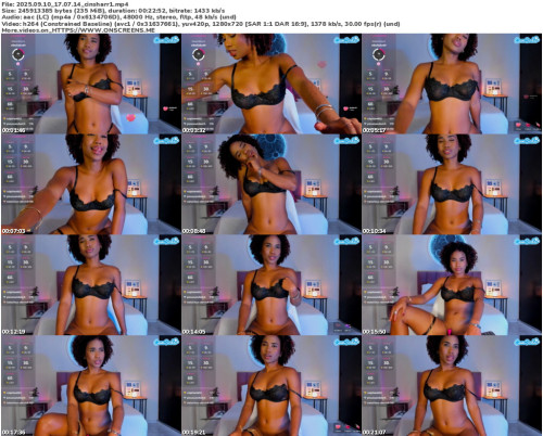2025.09.10_17.07.14_cinsharr1_preview.jpg